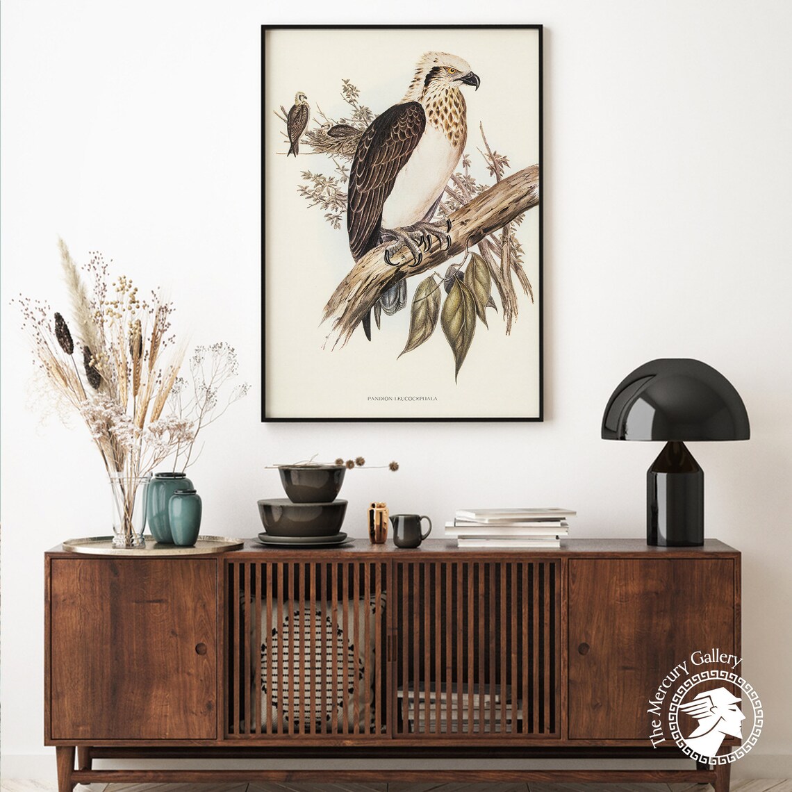 Vintage White-Headed Osprey Antique Bird Of Prey Illustration Print - Image 6