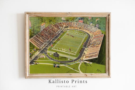 Vintage Stadium Illustration, Retro Sports Art Print
