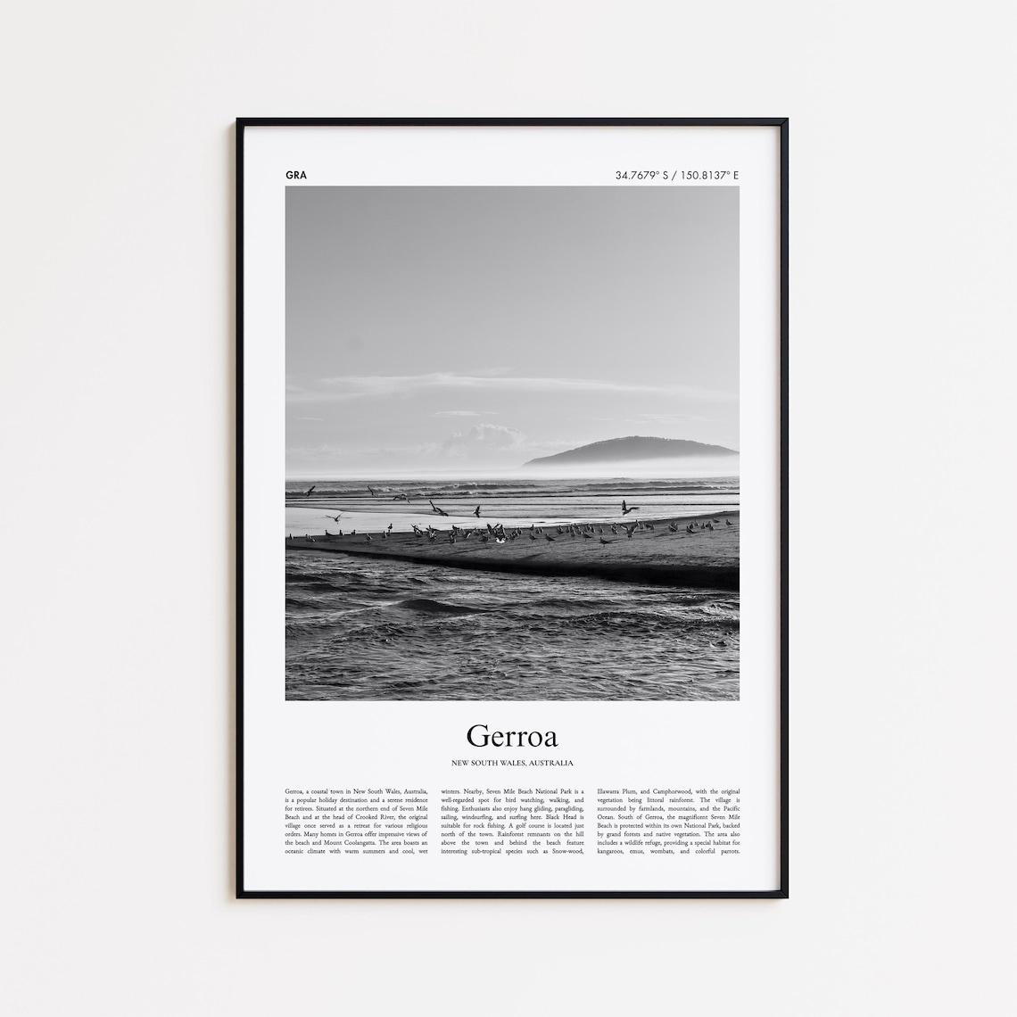 Gerroa Beach Birds Black and White Coastal Travel Poster Australia