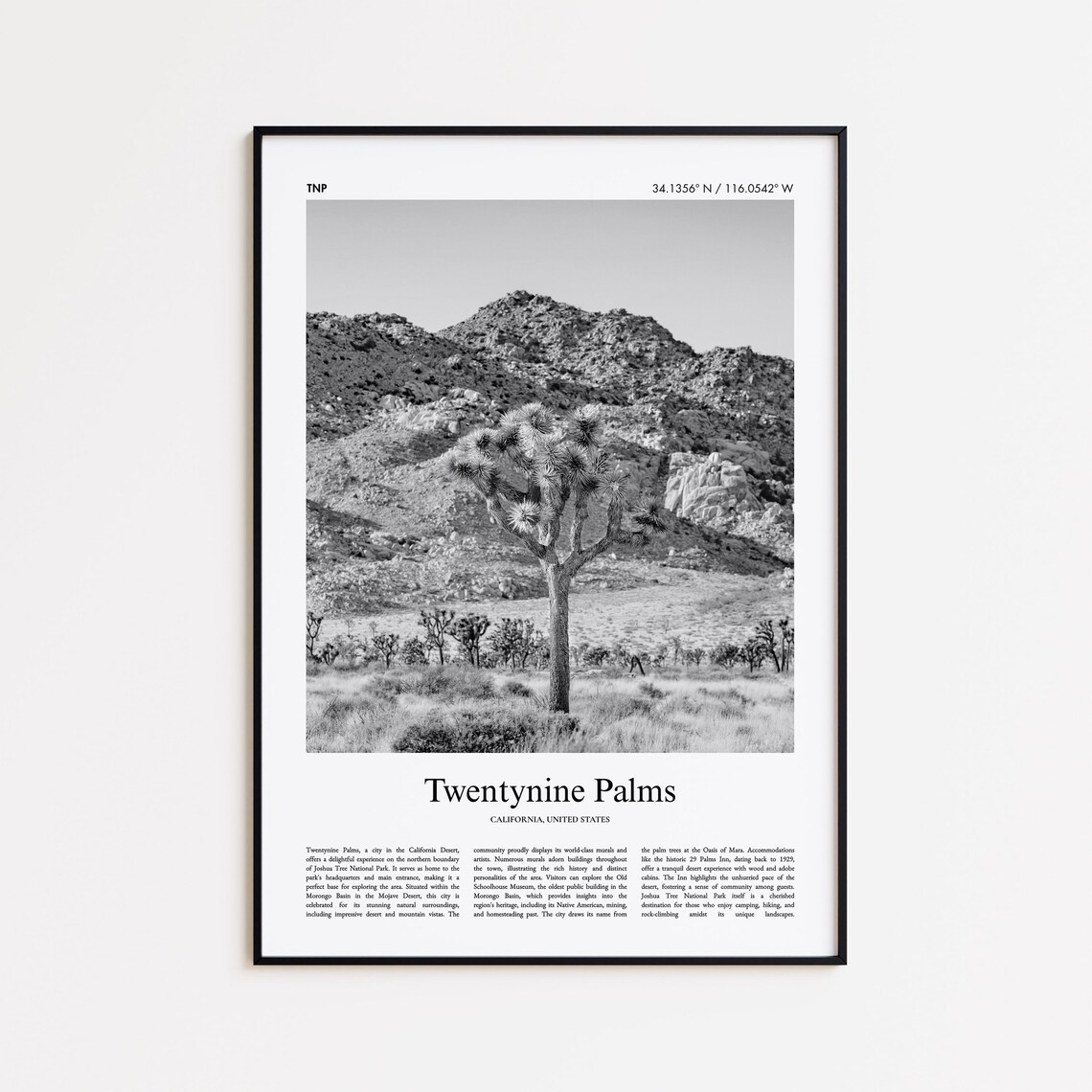 Twentynine Palms California Joshua Tree Desert Black White Travel Poster