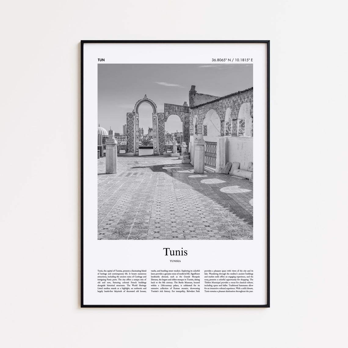 Tunis Tunisia Old Medina Rooftop Terrace Black and White Travel Poster