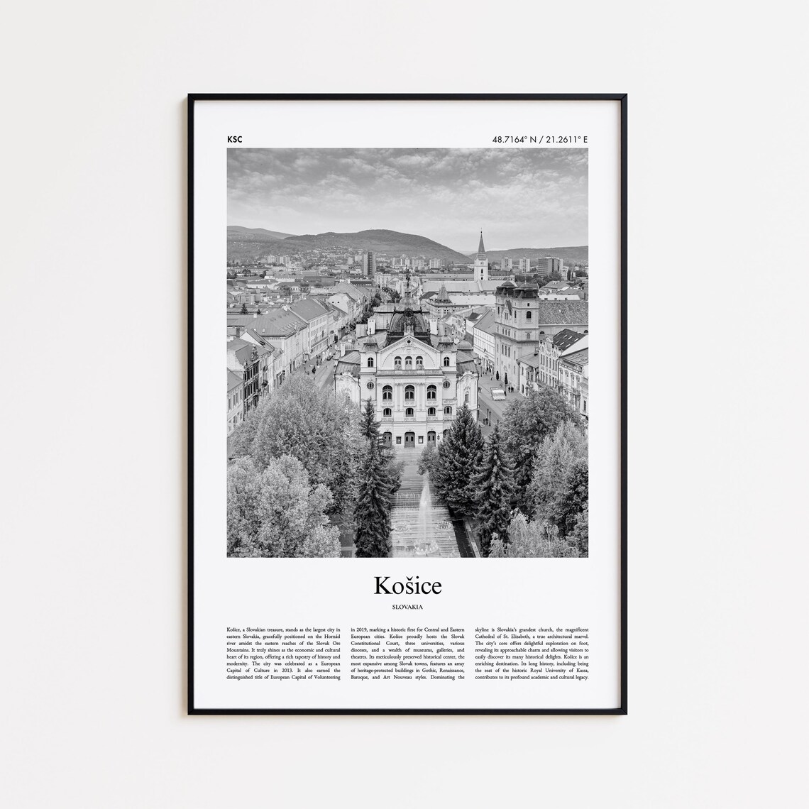 Kosice Slovakia Black and White Main Street Panorama Photo Poster