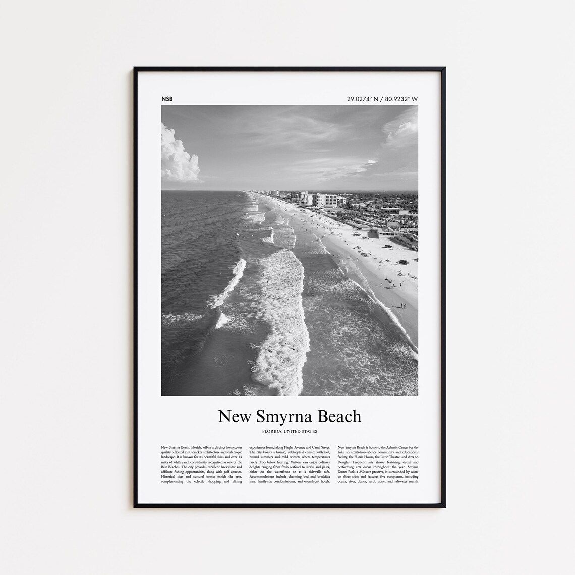 New Smyrna Beach Florida Aerial Black And White Waves Photo Poster
