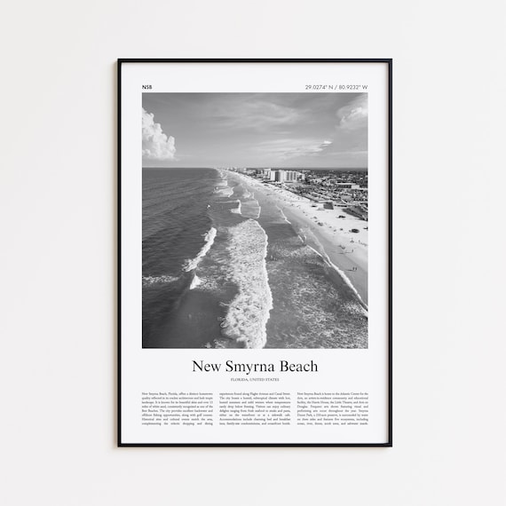 New Smyrna Beach Florida Aerial Black And White Waves Photo Poster
