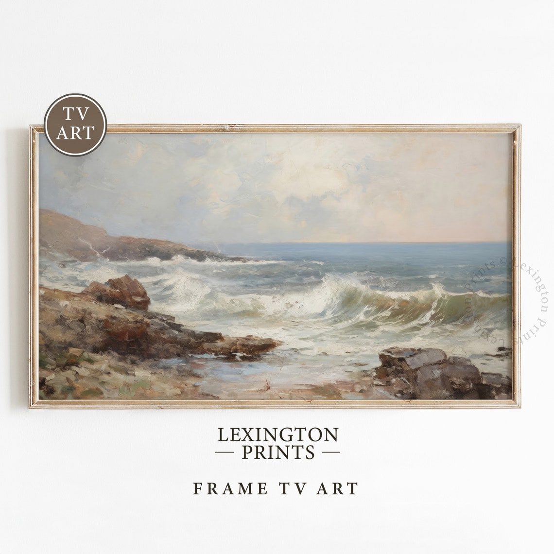 Moody Coastal Ocean Waves Rocky Shore Seascape Misty Frame TV Poster