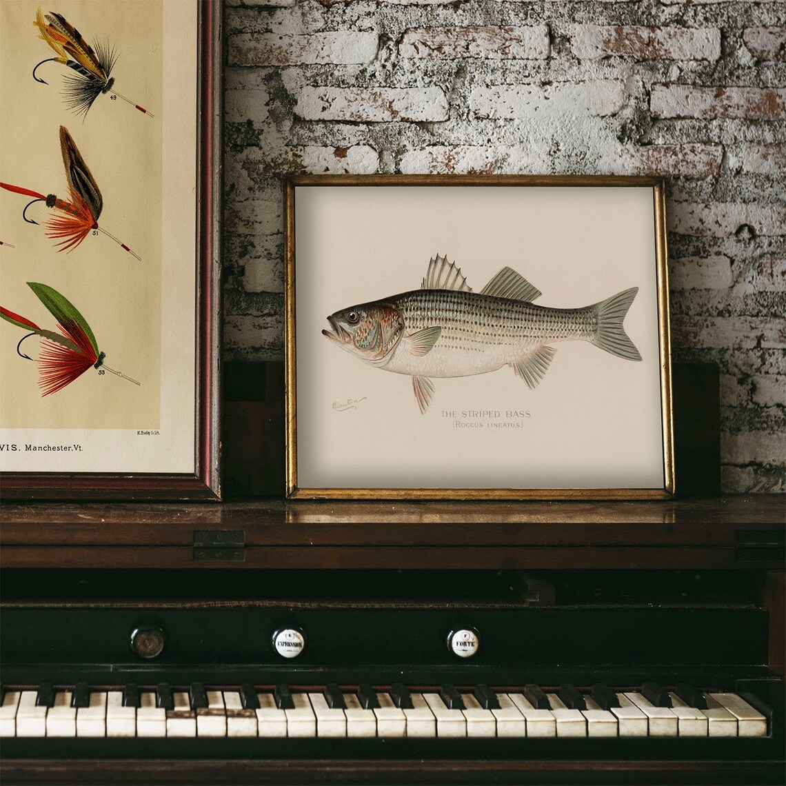 Striped Bass Vintage Fishing Poster, Rockfish Art - Image 3