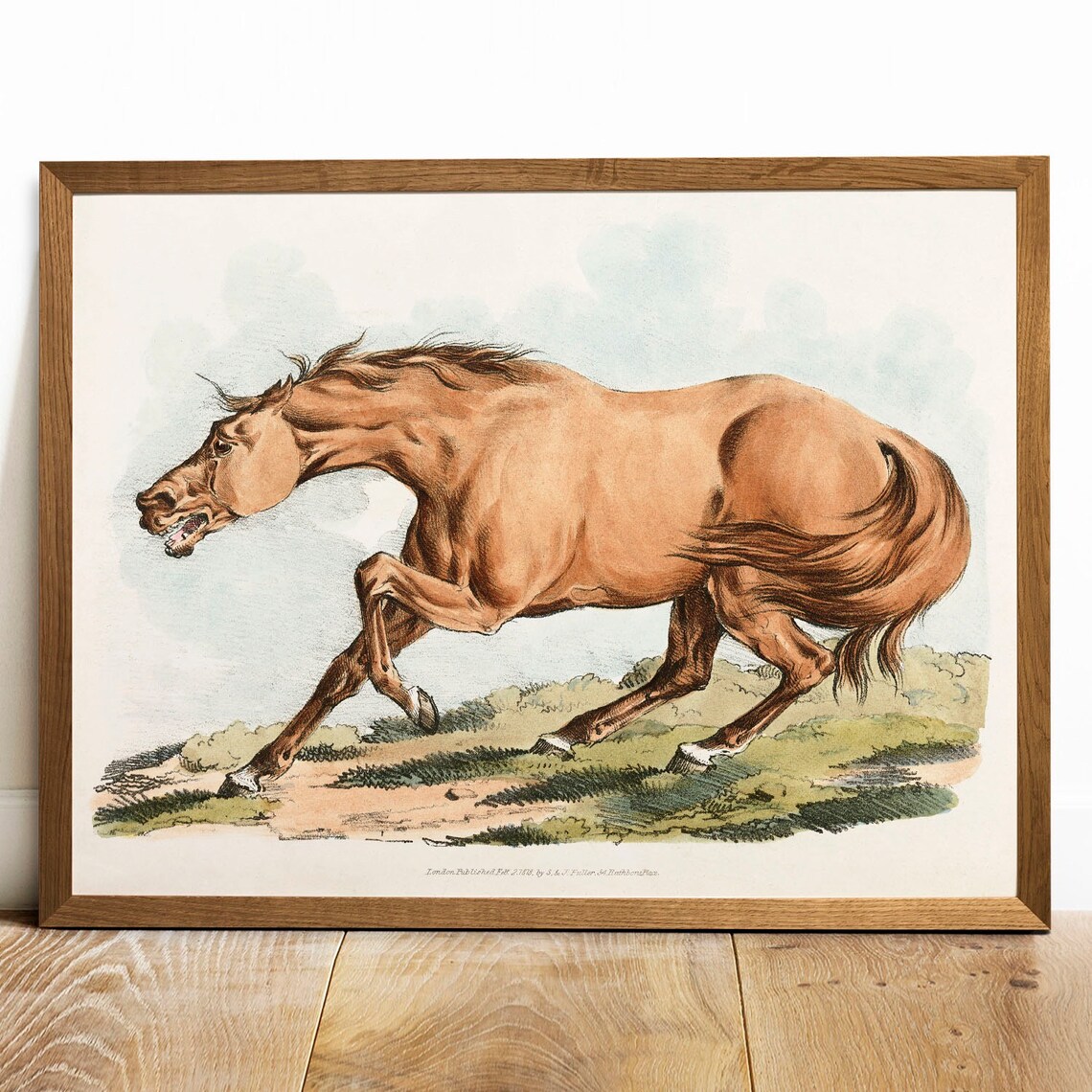 Horse Vintage Drawing Poster, Antique Illustration