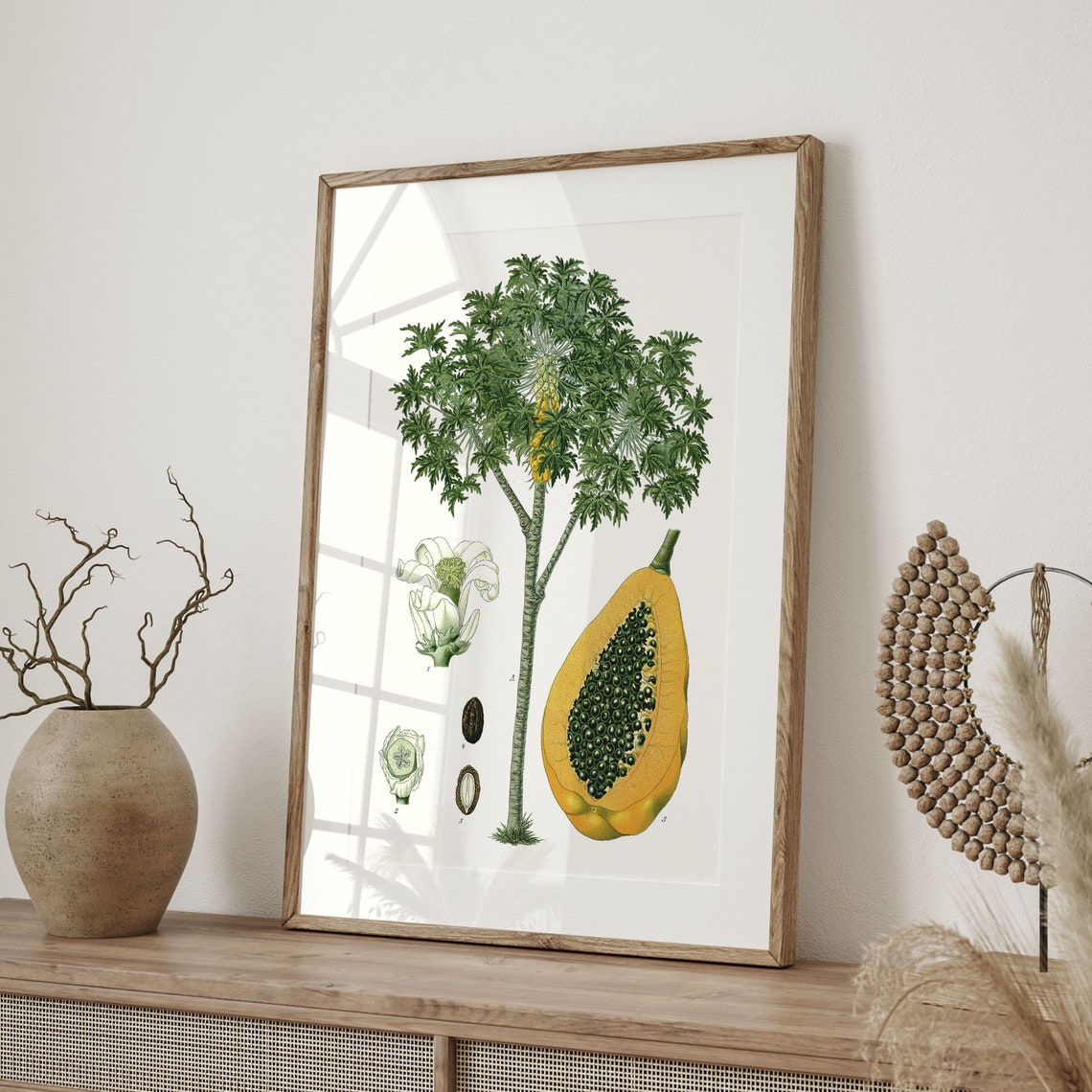 Vintage Papaya Tree Botanical Illustration Tropical Fruit Wall Poster - Image 4