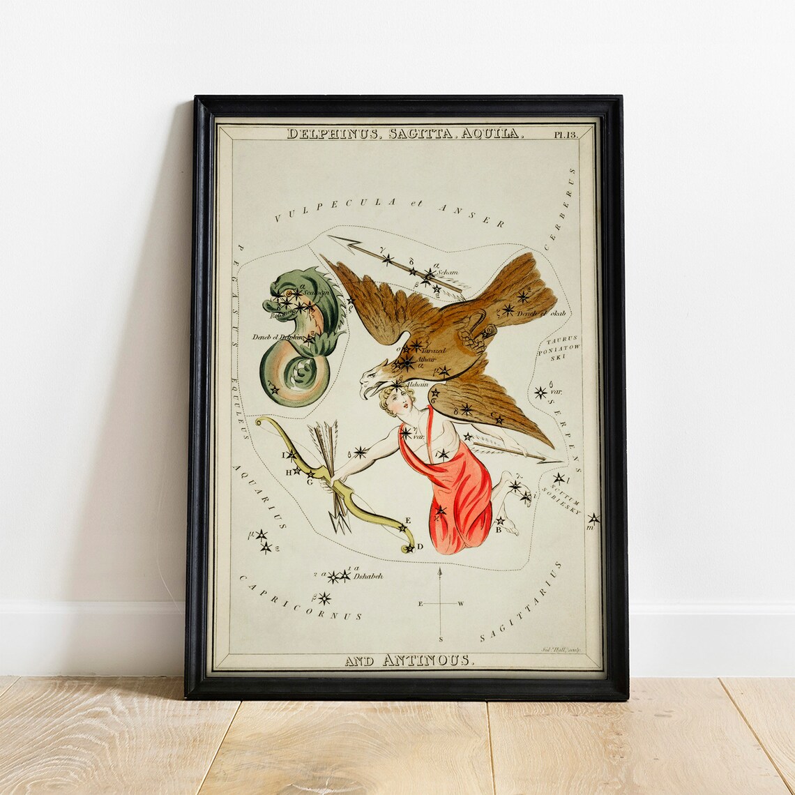 Antinous Vintage Zodiac Art Print, Horoscope Poster