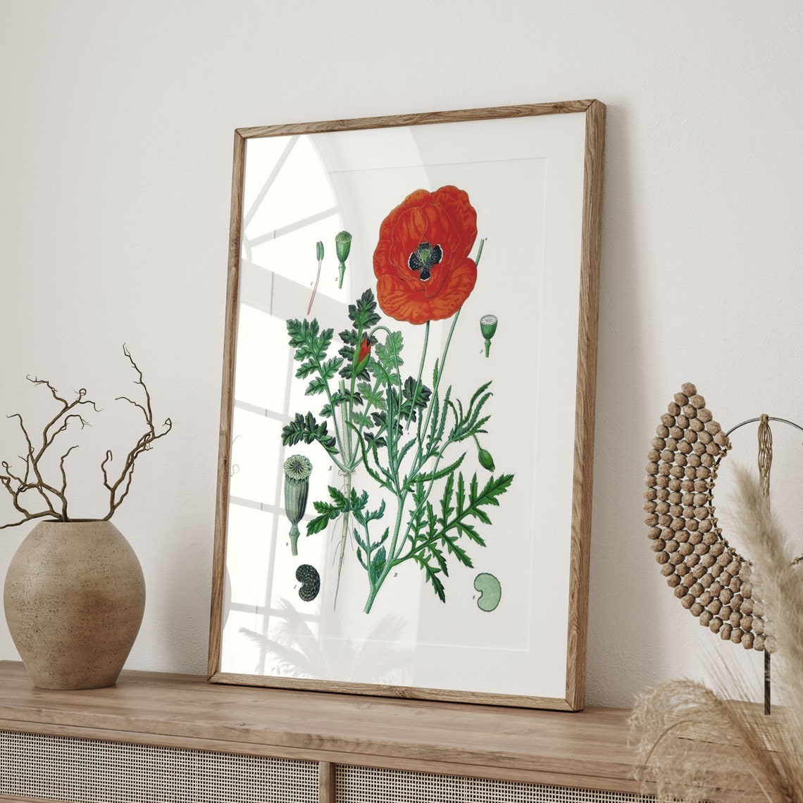 Vintage Red Poppy Botanical Illustration with Seed Pod Details Poster - Image 4