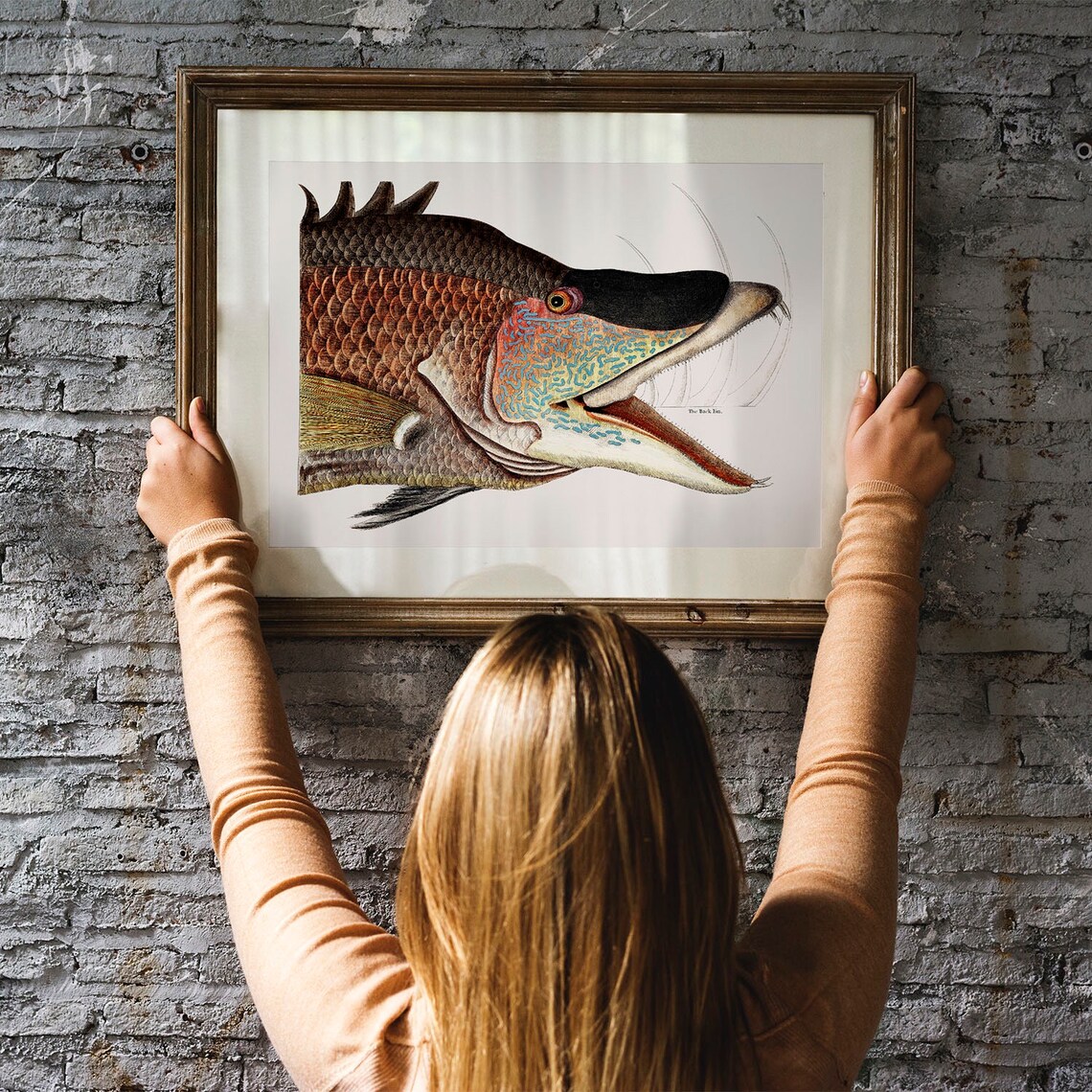 Grat Hog Fish Antique Illustration Vintage Poster - Image 3