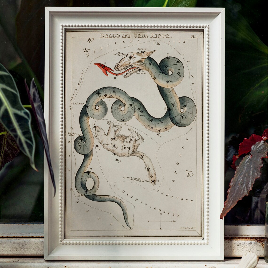 Draco Vintage Space Drawing Poster Print - Image 2