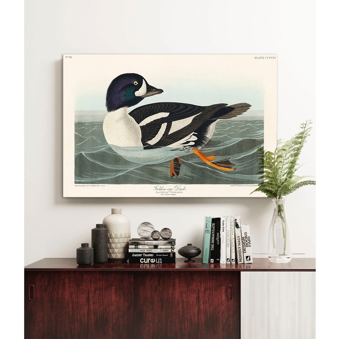 Audubon Golden Eye Duck Vintage Bird Plate Art Print for Walls