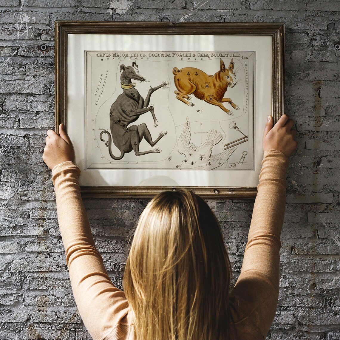 Canis Major Antique Space Painting, Vintage Zodiac Art Print - Image 3