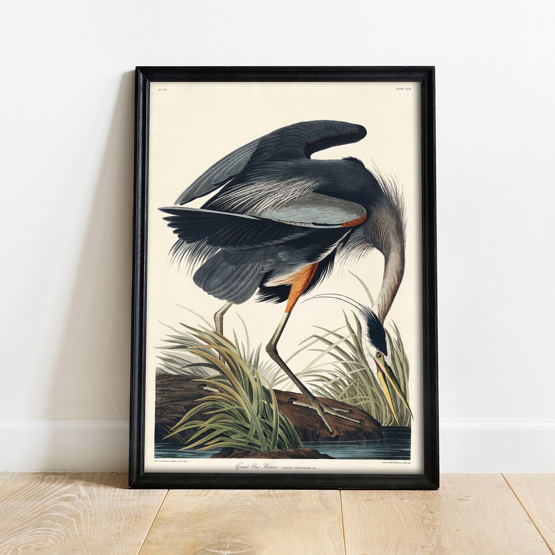 Heron Antique Bird Painting Vintage Bird Poster