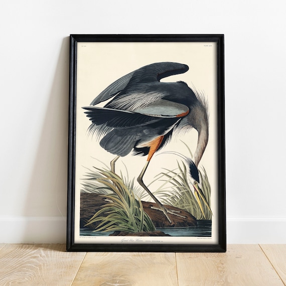 Heron Antique Bird Painting Vintage Bird Poster