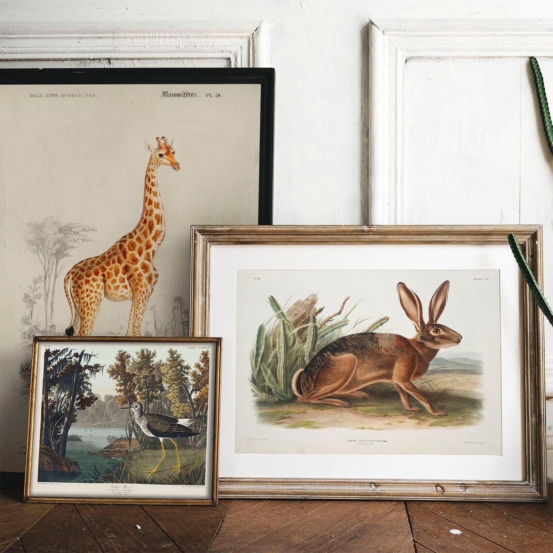 Antique Hare Vintage Animal Poster Print - Image 2