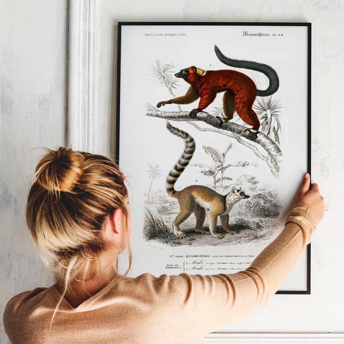 Lemur Antique Animal Painting, Vintage Rustic Zoology Art - Image 3
