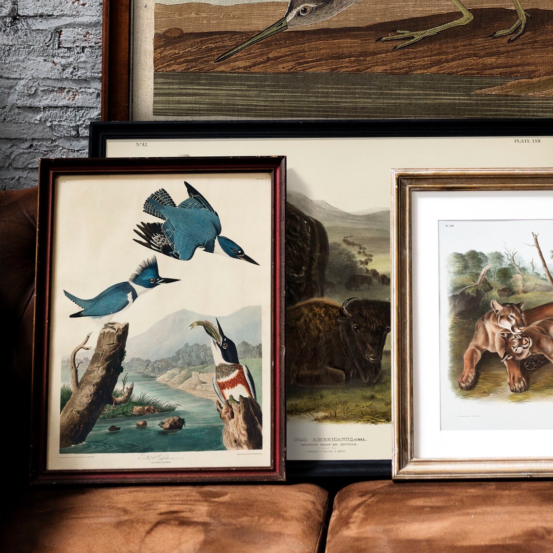 Kingfisher Antique Bird Painting Vintage Art Print - Image 2