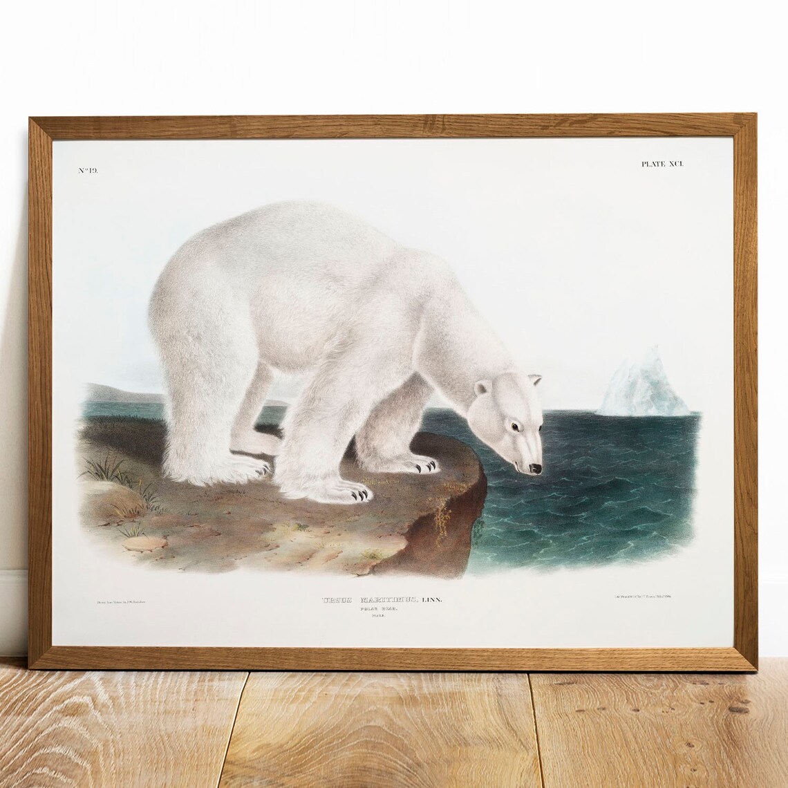 Polar Bear Antique Animal Painting, Vintage Art Print