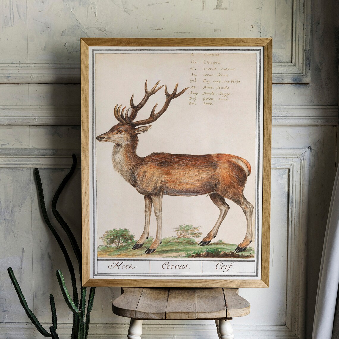 Deer Antique Space Painting Vintage Poster Print - Image 4