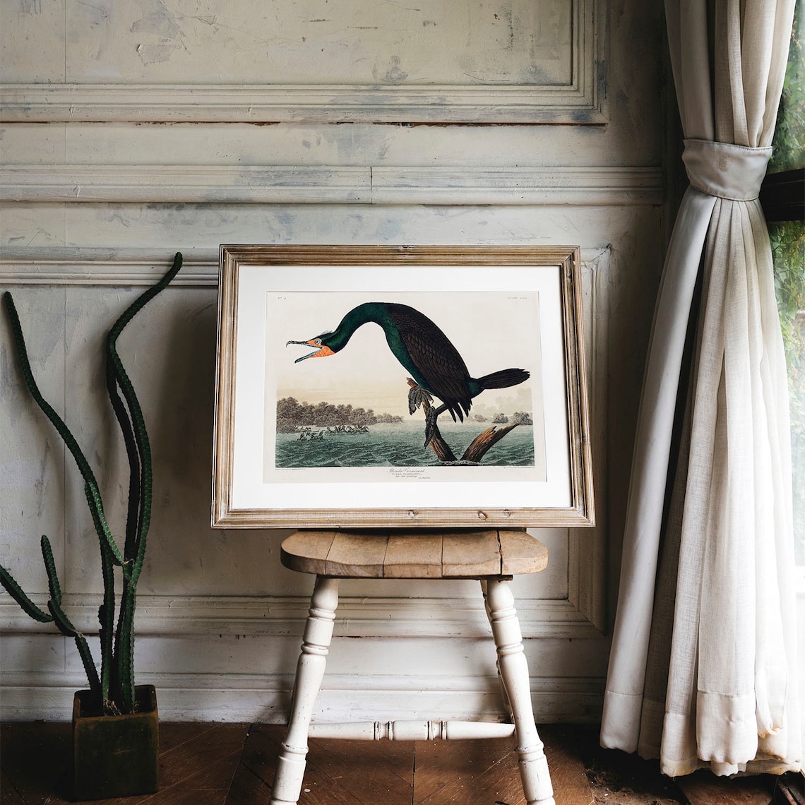 Cormorant Print, Antique Bird Painting Vintage Drawing - Image 4