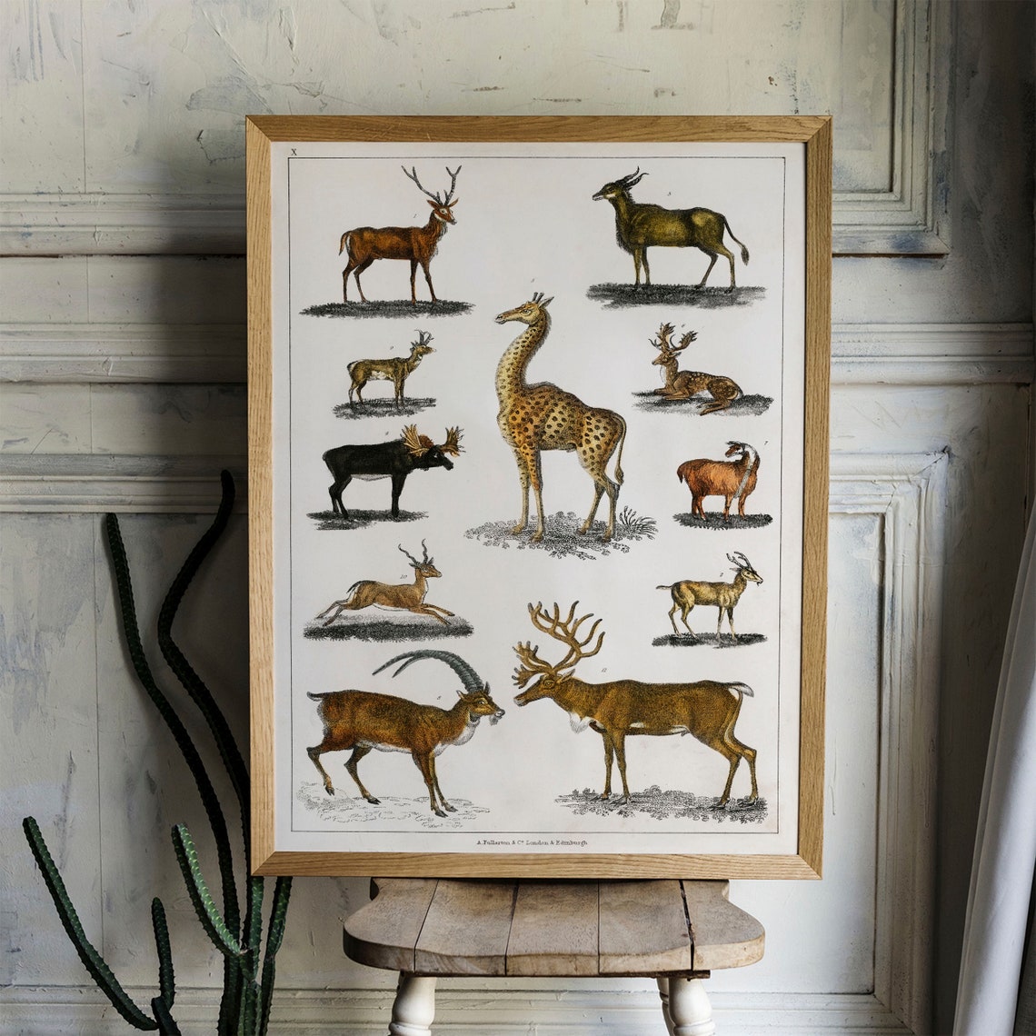 Animals With Antlers Print Antique Animal Painting Vintage Drawing Poster Wall Art Antler Animals Animal Drawing Animal Print Coo277 - Image 4