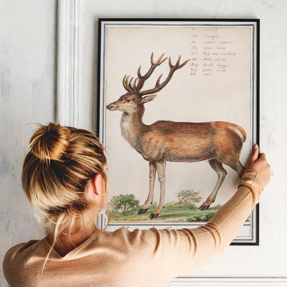 Deer Antique Space Painting Vintage Poster Print - Image 3