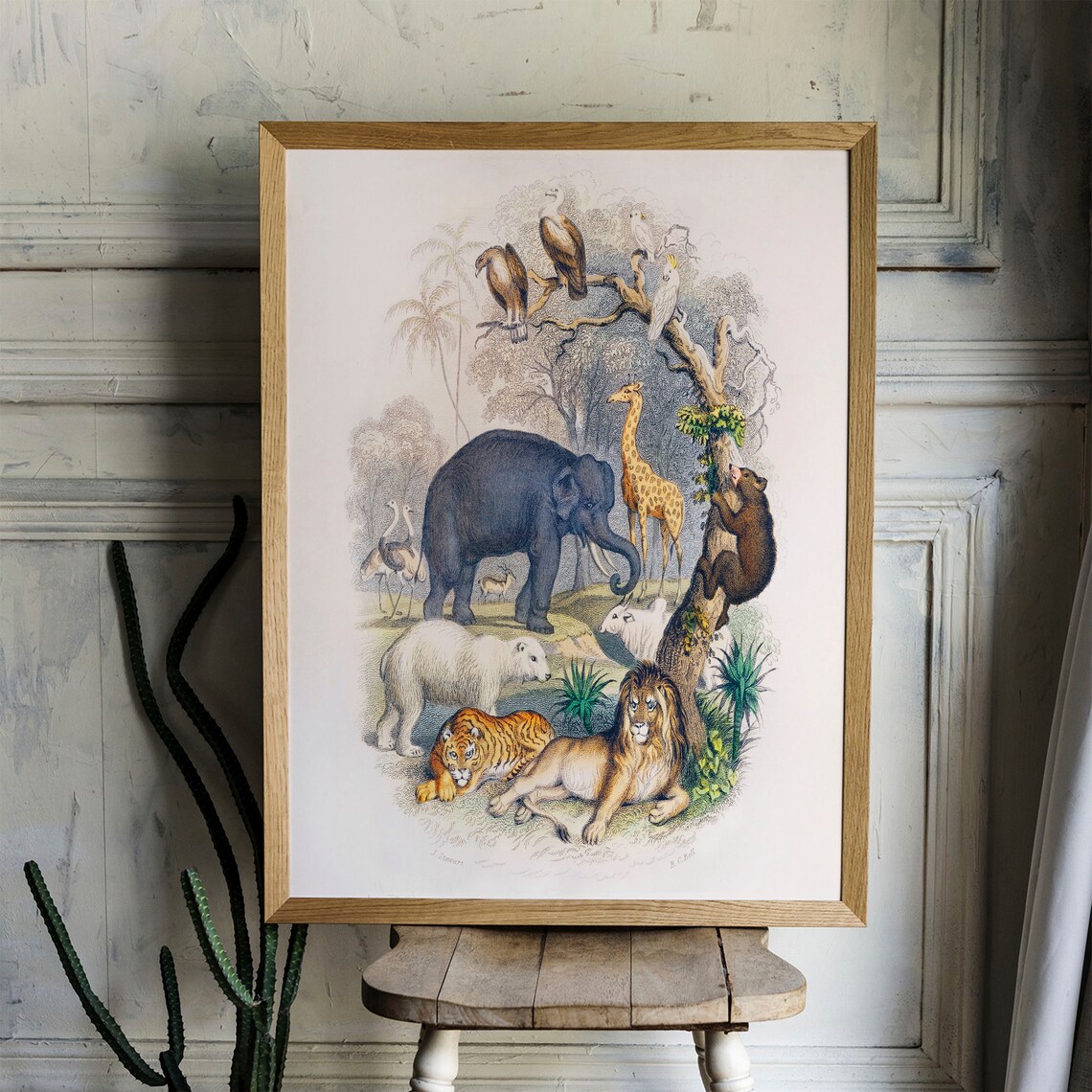 Animal Drawing Print, Antique Vintage Drawing Poster - Image 4
