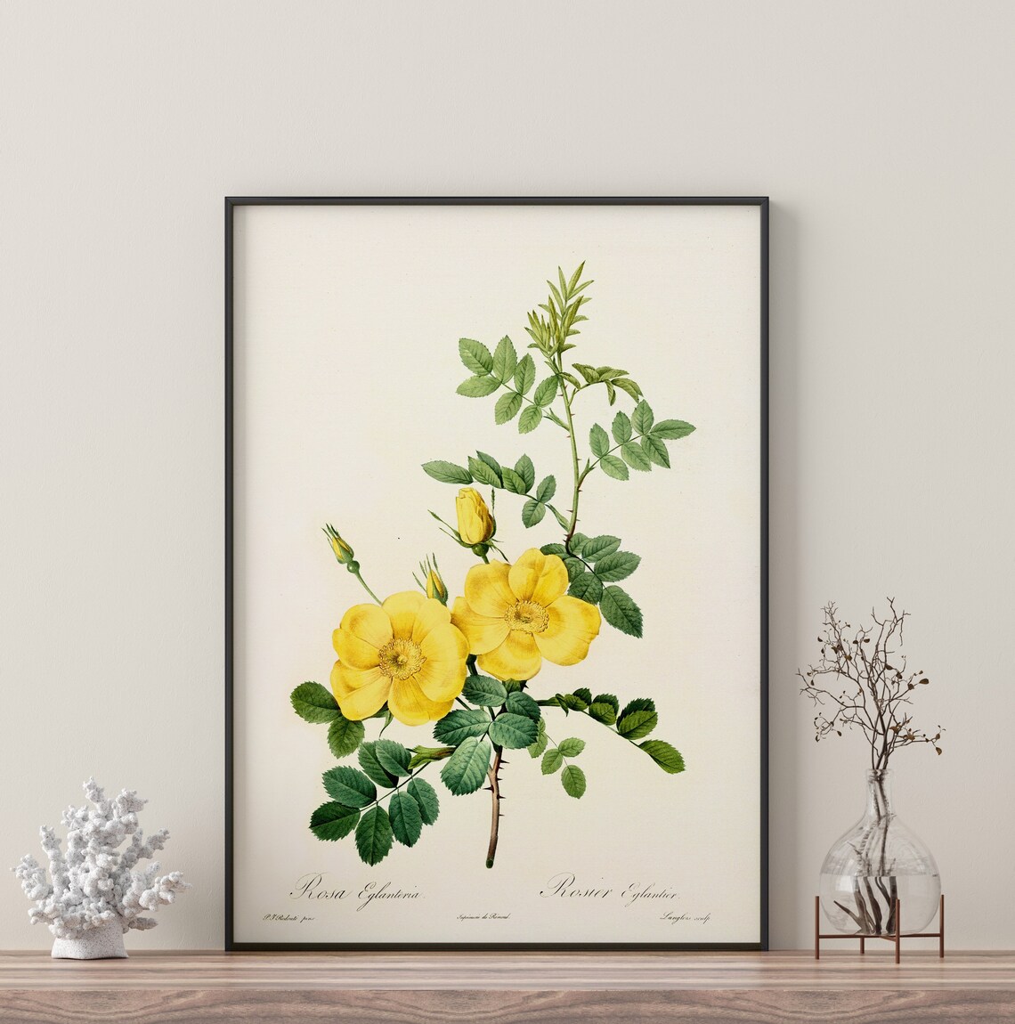 Yellow Flower Branch Botanical Watercolor Art Print