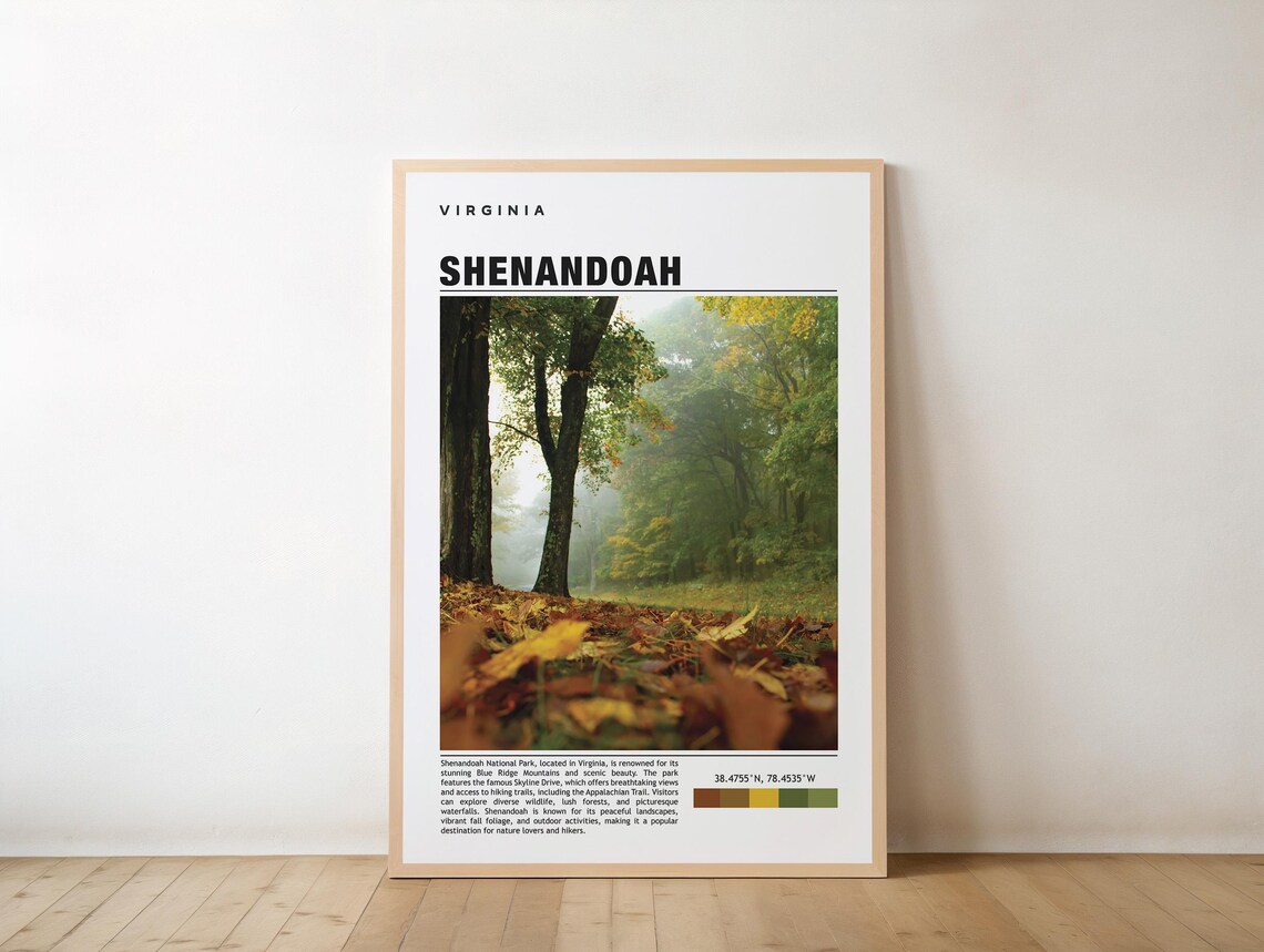 Scenic Shenandoah National Park Virginia Travel Forest Trail Poster