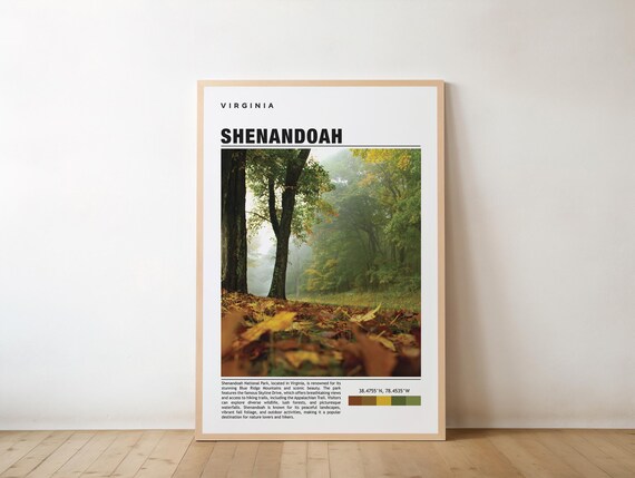 Scenic Shenandoah National Park Virginia Travel Forest Trail Poster