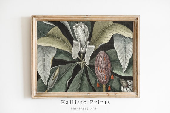 Vintage Botanical Illustration Exotic Plant Art Antique Nature Print Detailed Leaf And Flower Artwork Wall Decor163