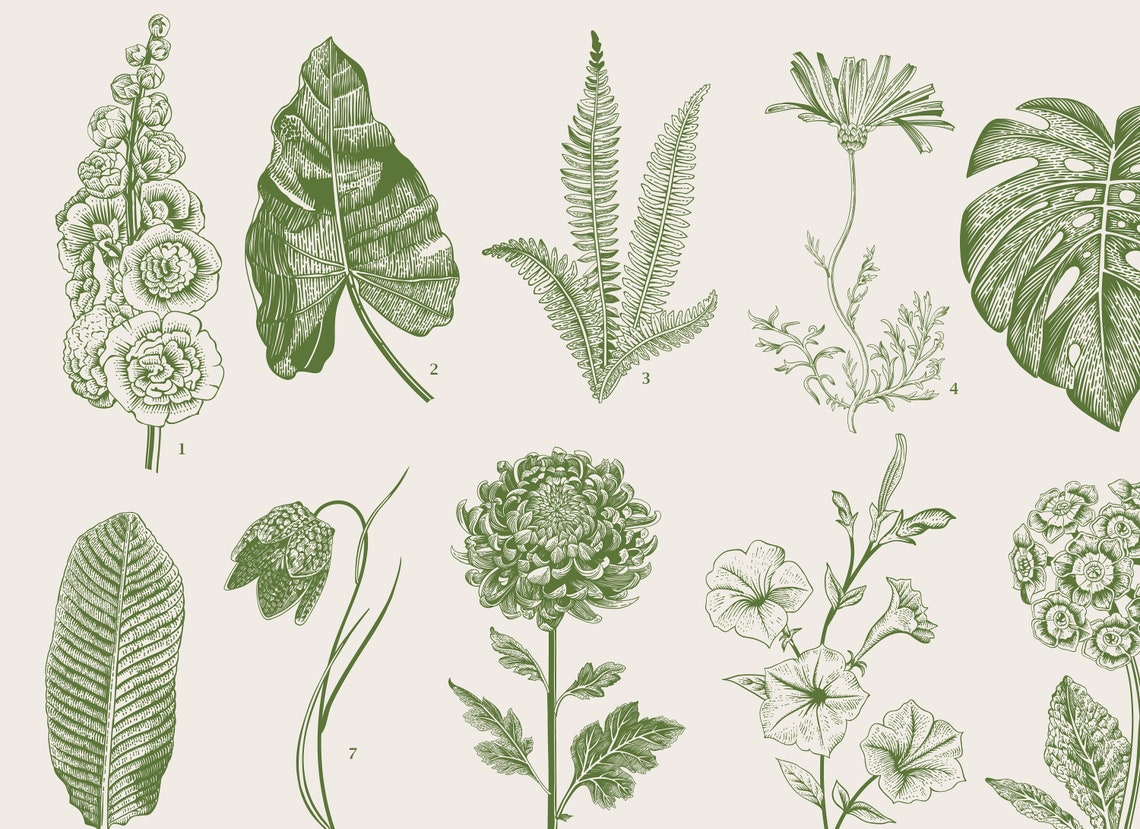 Green Botanical Print, Botanical Wall Art Poster - Image 4