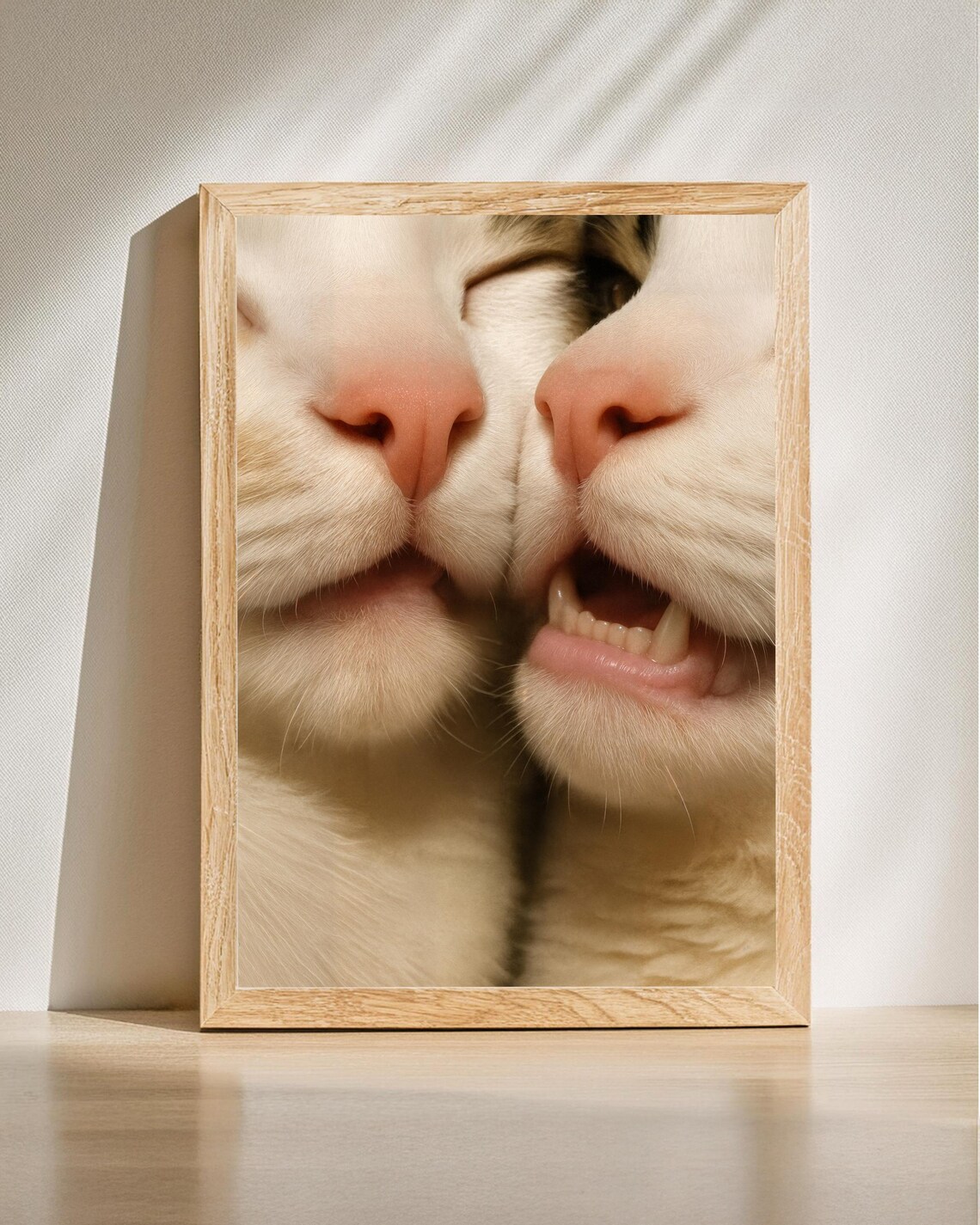 Two Cats Kissing Nose To Nose Funny Macro Cat Photo Art Poster