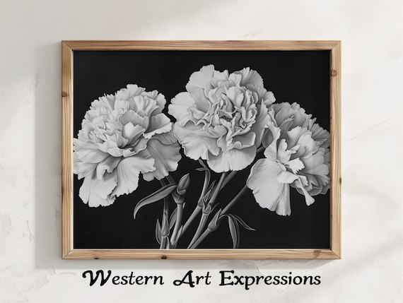 Carnation Trio Ink Drawing Black And White Floral Art Pencil Drawn Carnations Botanical Wall Decor Realistic Flower Illustration