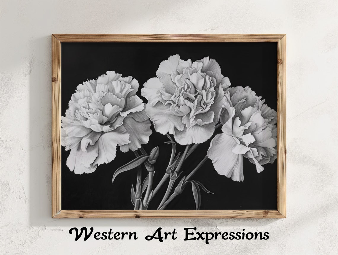 Carnation Trio Ink Drawing Black And White Floral Art Pencil Drawn Carnations Botanical Wall Decor Realistic Flower Illustration