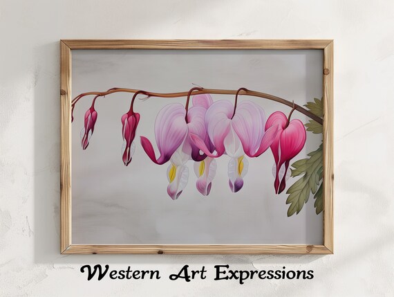 Bleeding Heart Flower Watercolor Illustration Botanical Wall Art Pink Hearts Flowers Nature Home Decor