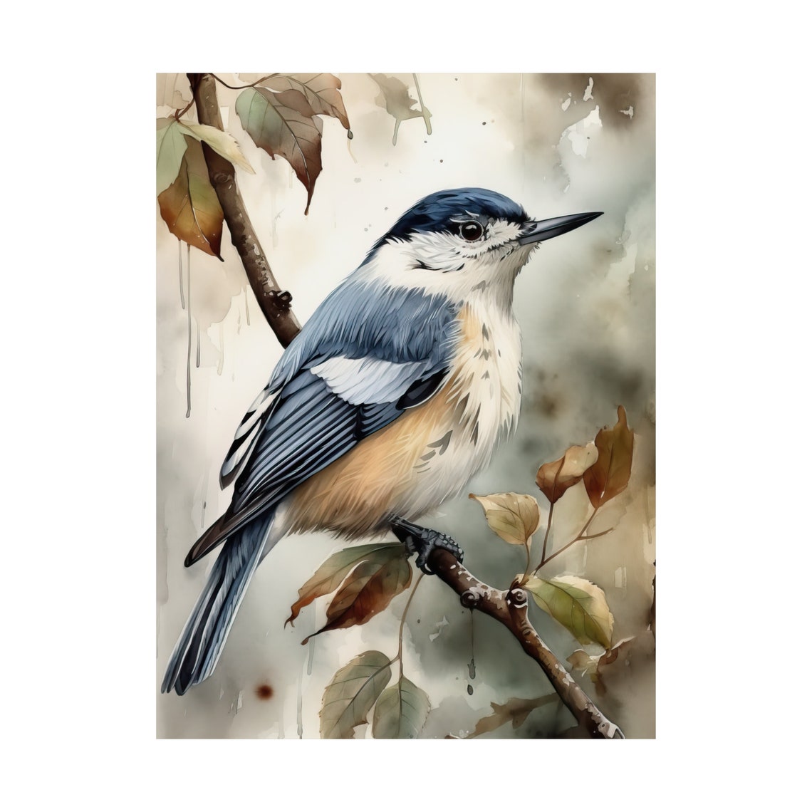 White Breasted Nuthatch Bird Watercolor Autumn Branch Fine Art Poster - Image 4