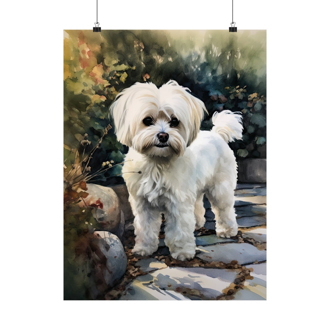 Maltese Dog White Standing on a Stone Garden Path Portrait Poster - Image 5