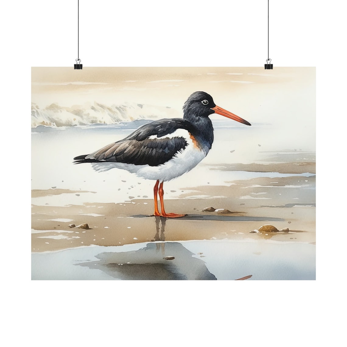 Oystercatcher Shorebird Beach Watercolor Coastal Bird Poster - Image 5
