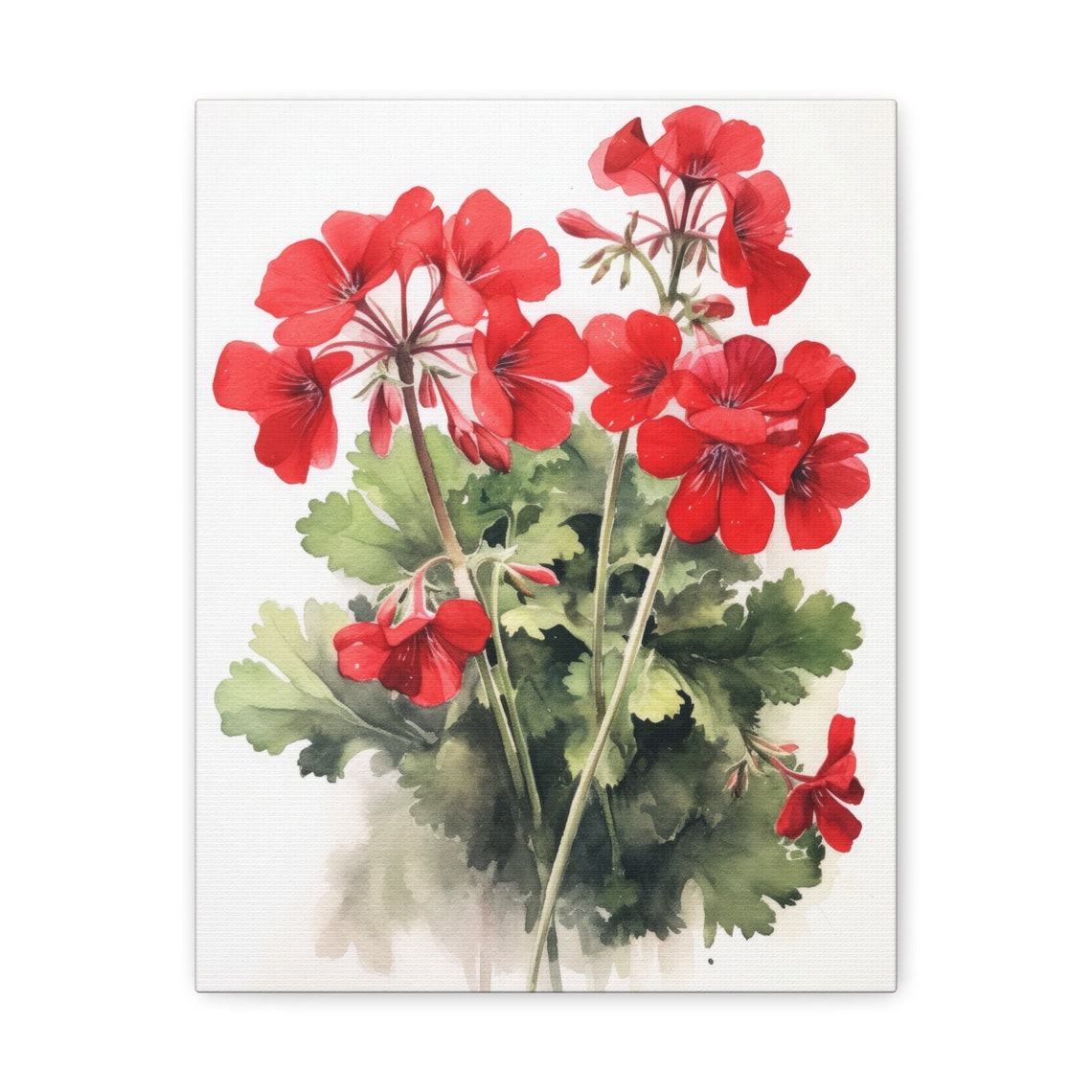 Red Geranium Watercolor Flower Clusters Green Foliage Art Print - Image 2