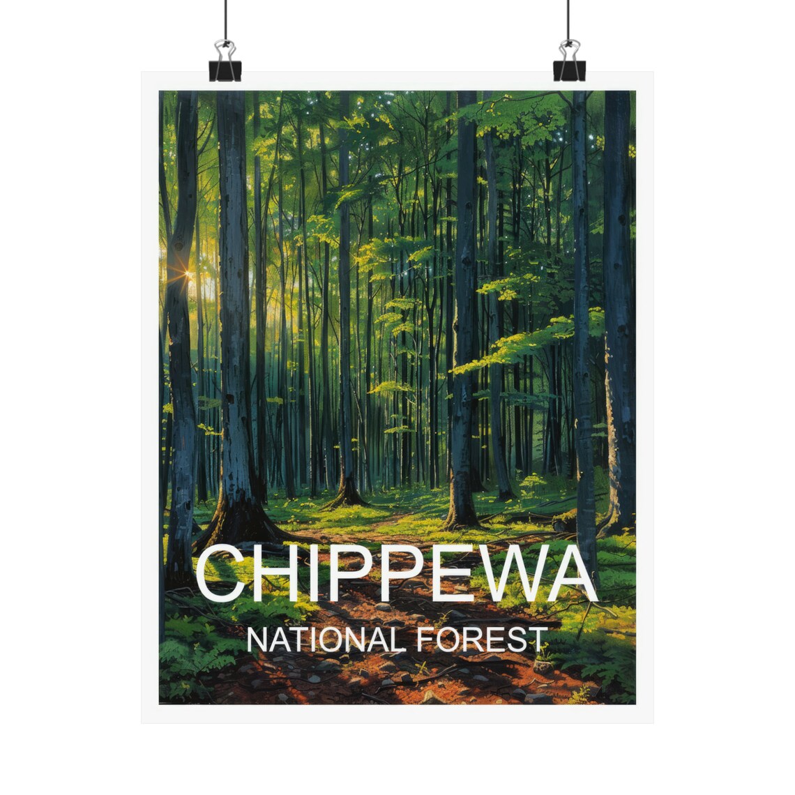 Chippewa National Forest Sunlit Green Woodland Interior Scenic Poster - Image 4
