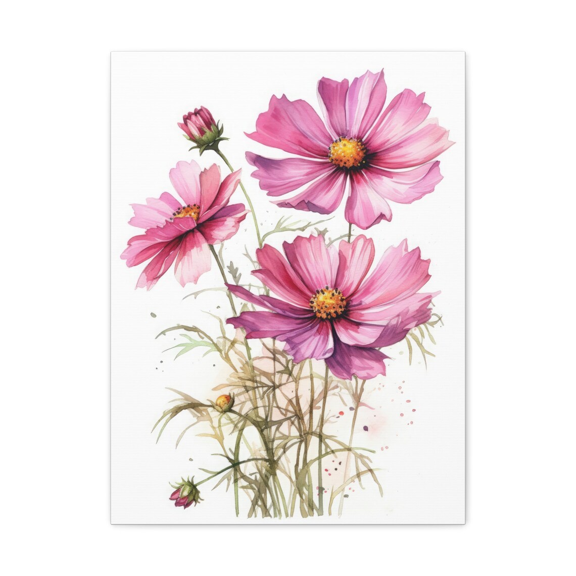 Magenta Pink Cosmos Flowers Fresh Watercolor Botanical Floral Poster