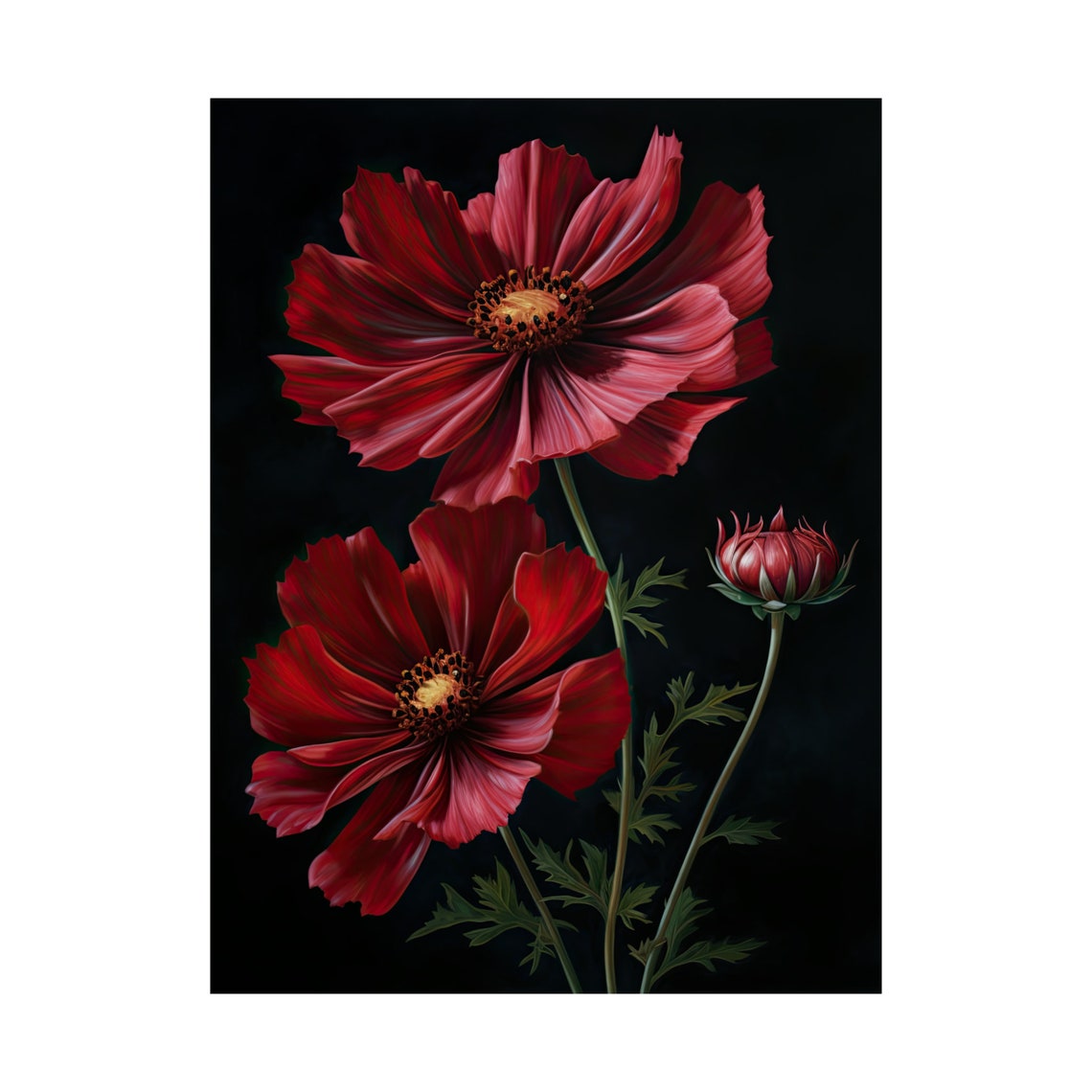 Red Cosmos Flowers Dark Background Moody Floral Fine Art Poster - Image 4
