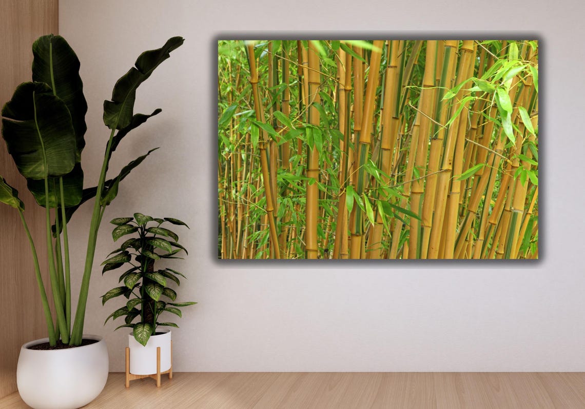Golden Bamboo Forest Stalks Green Leaves Asian Zen Nature Poster - Image 3