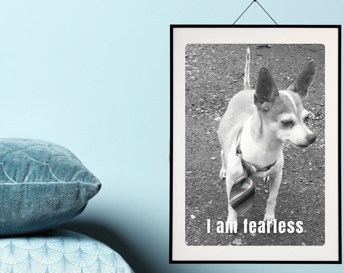 I Am Fearless Little Dog Photo Affirmation Pet Quote Wall Poster - Image 2