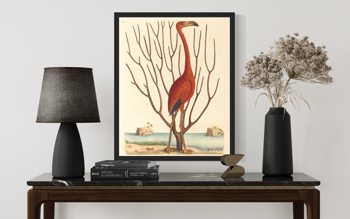 Vintage Flamingo Natural History Illustration Classic Bird Print - Image 3