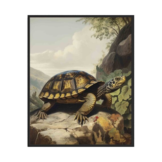 Turtle Art Print Posters Animal Abstracts Wall Art Painting Decoration Gifts