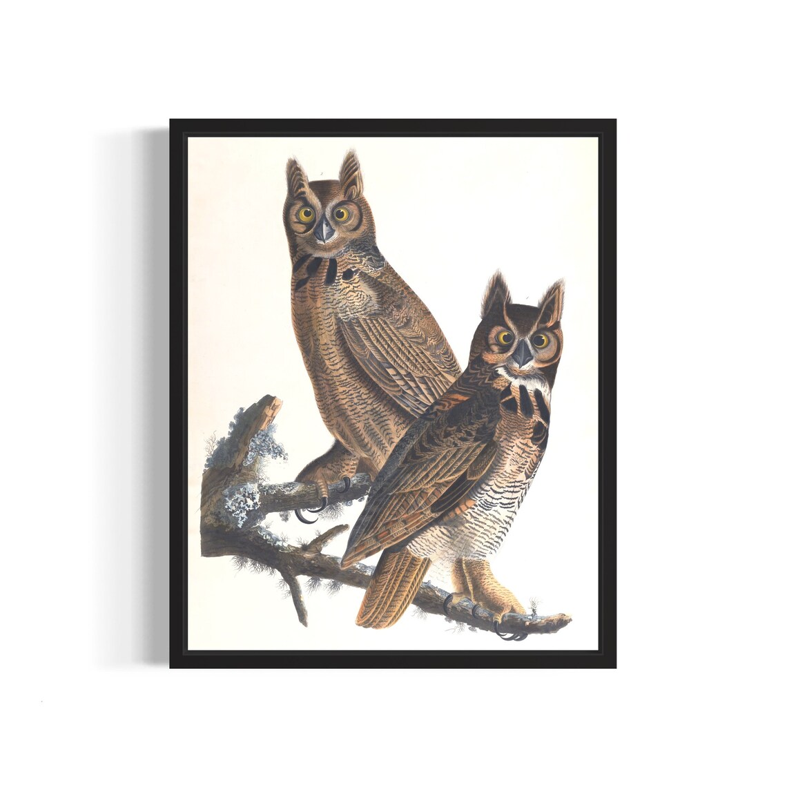 Majestic Great Horned Owl Pair Audubon Style Vintage Bird Print